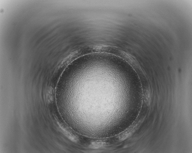 X0000087560470200705041357