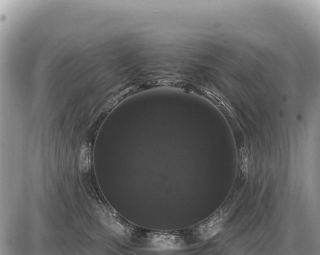 X0000087560471200705041357
