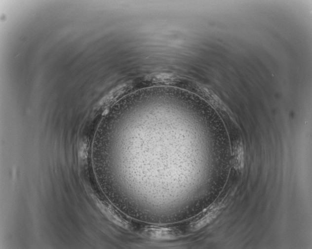 X0000087560472200705041357