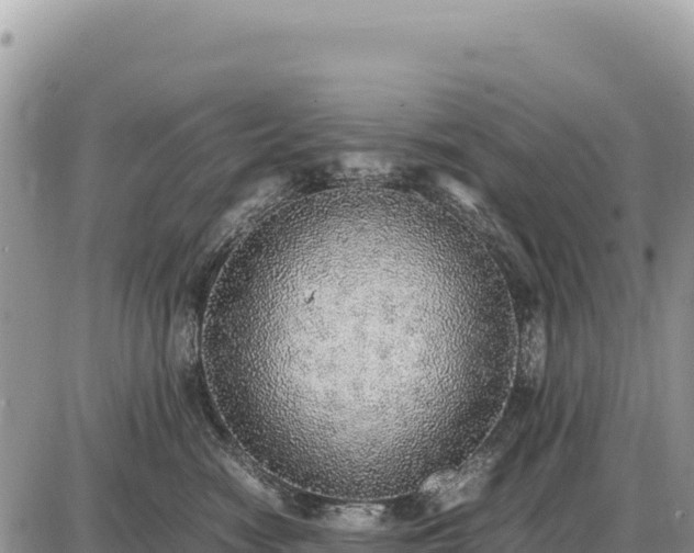 X0000087560474200705041357