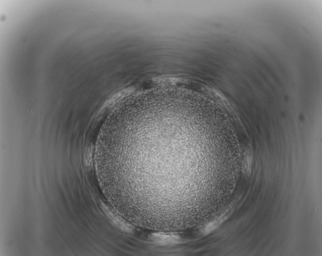 X0000087560477200705041357