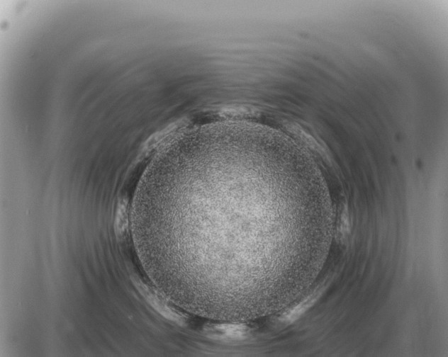 X0000087560478200705041357