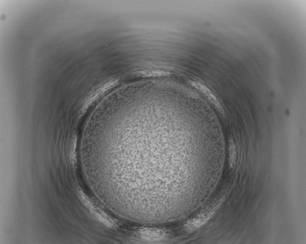 X0000087560490200705041357