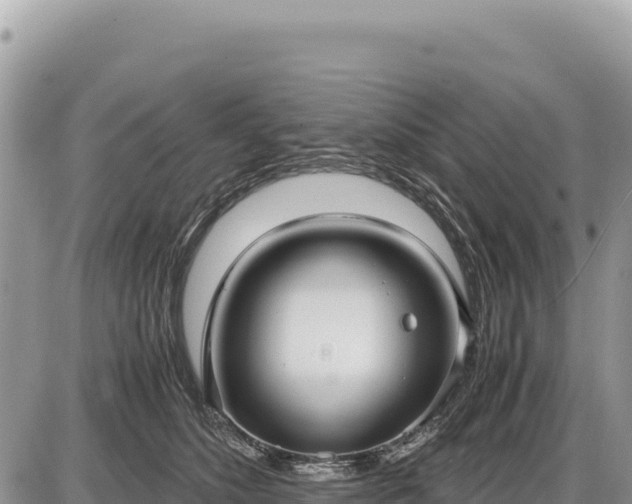 X0000087560516200705041356