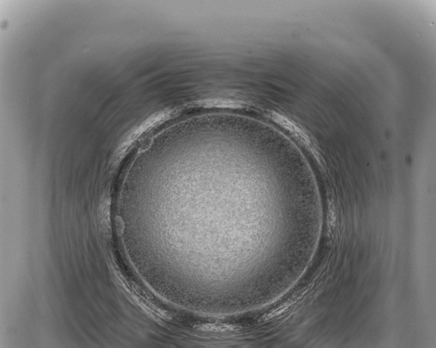X0000087560535200705041355