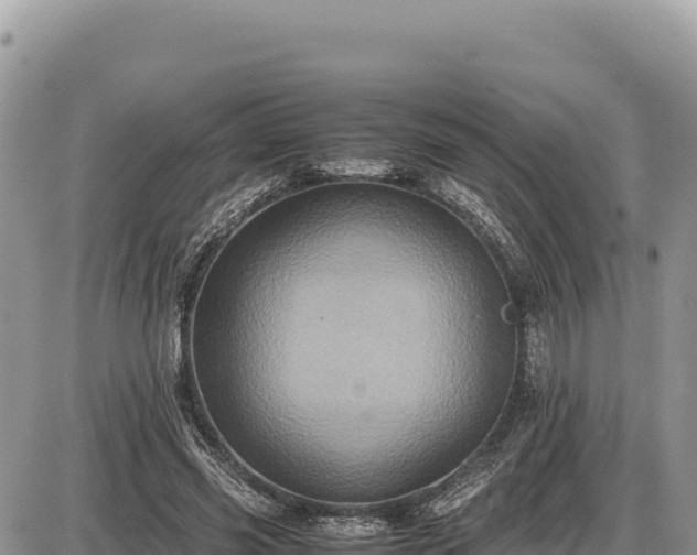 X0000087560541200705041355