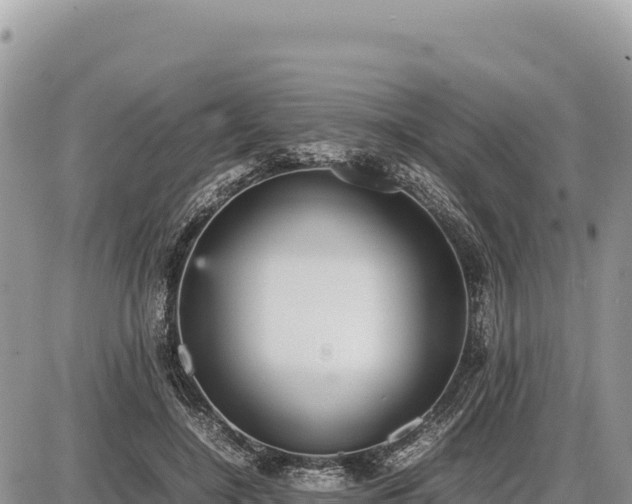 X0000087560548200705041355