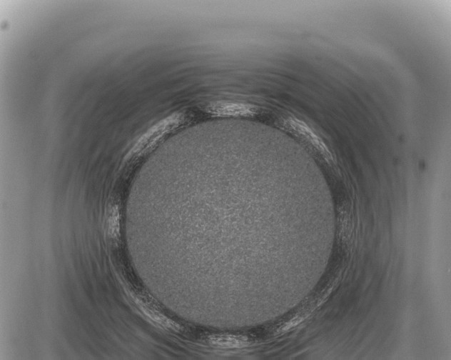 X0000087560549200705041355