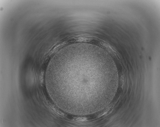 X0000087560554200705041356