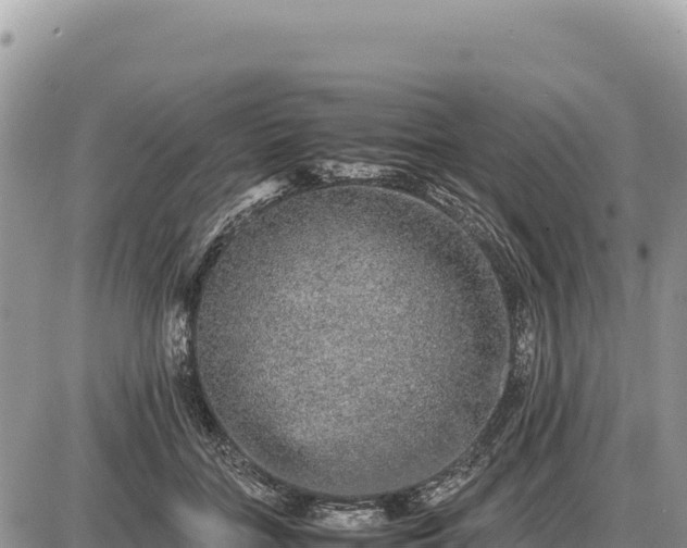 X0000087560555200705041356