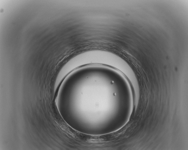 X0000087560556200705041356