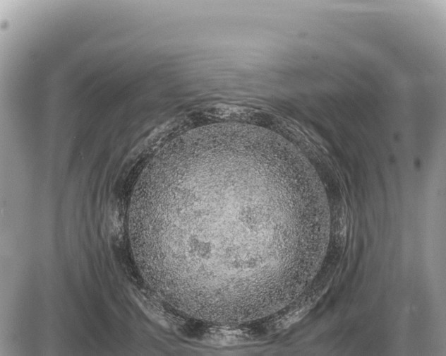 X0000087560607200705041355