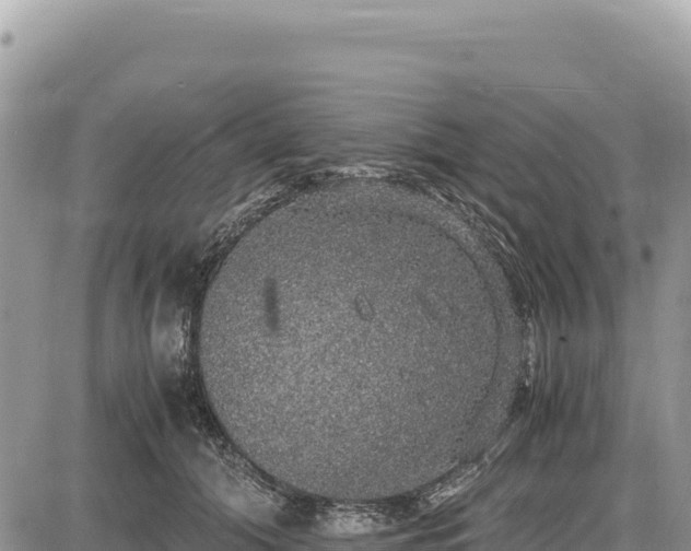 X0000087560608200705041355