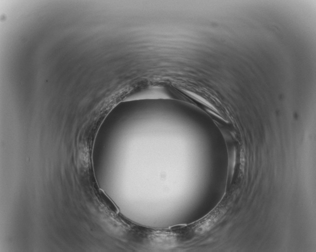 X0000087560617200705041354