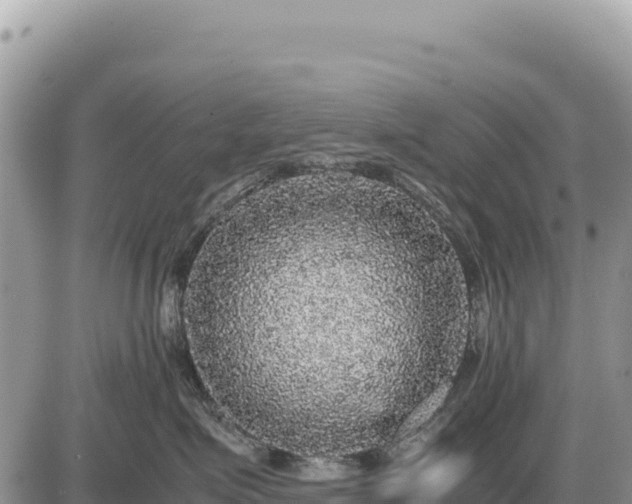 X0000087560623200705041354