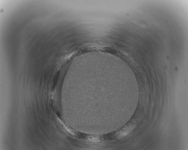 X0000087560624200705041354