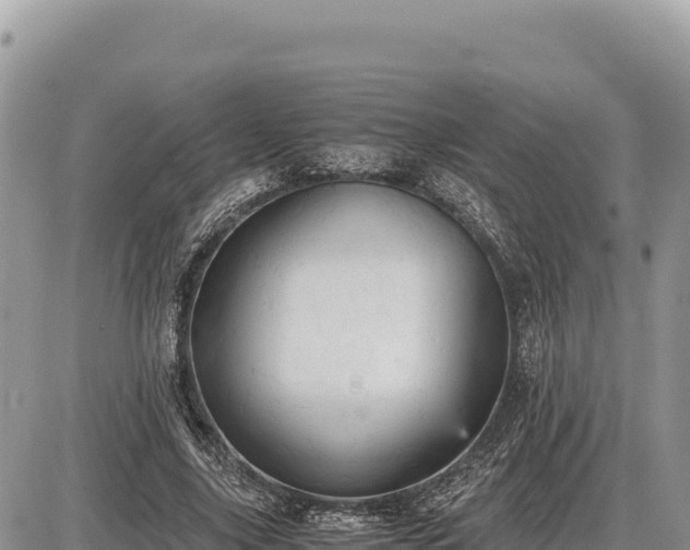 X0000087560635200705041354
