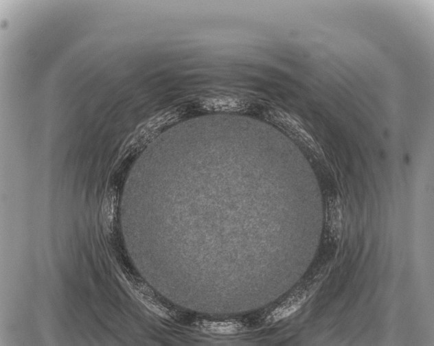 X0000087560645200705041354