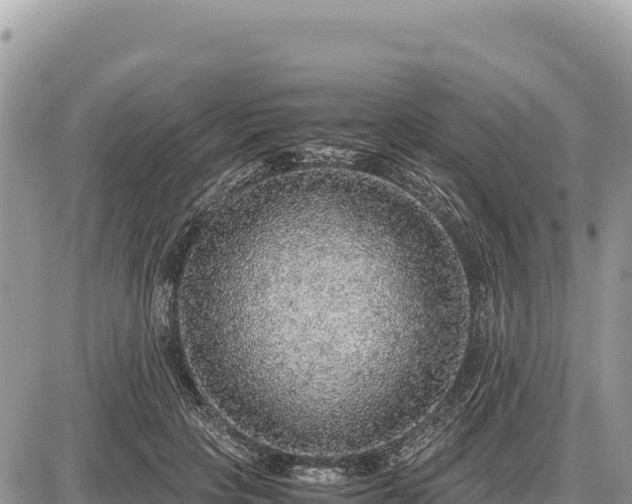 X0000087560649200705041354