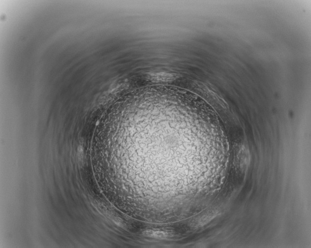 X0000087560655200705041354