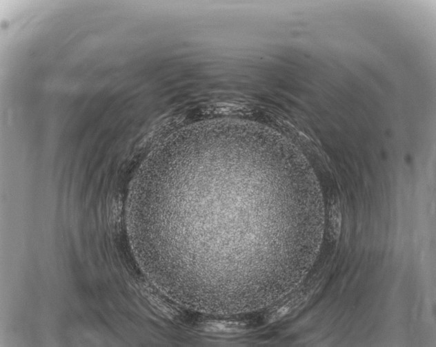 X0000087560657200705041354