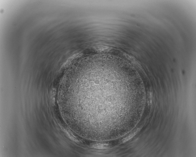 X0000087560664200705041354