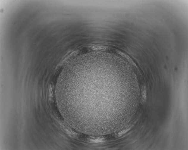 X0000087560667200705041354