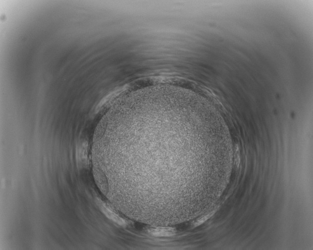X0000087560670200705041354