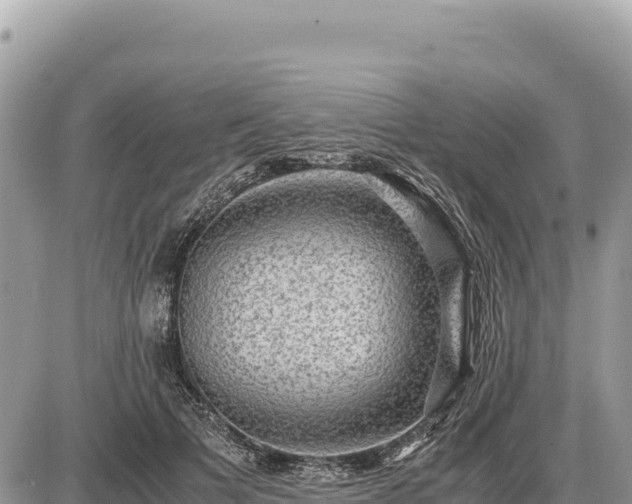 X0000087560697200705041353