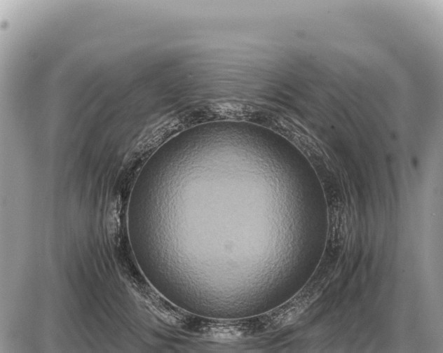 X0000087560702200705041353