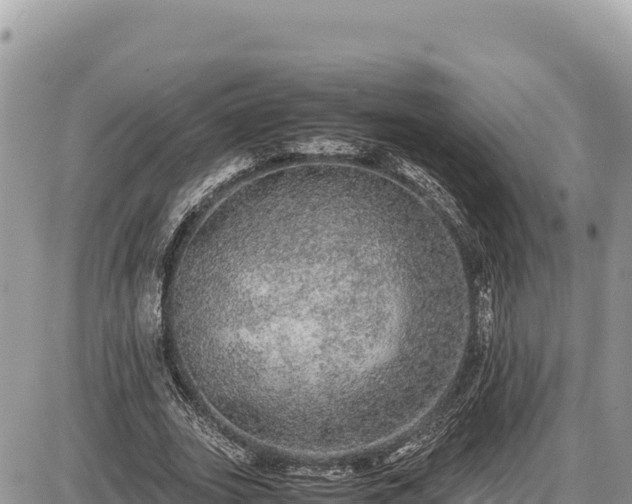 X0000087560727200705041352
