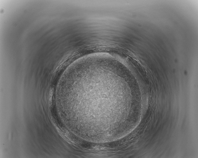 X0000087560742200705041352