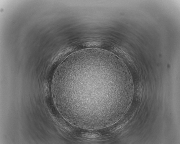 X0000087560743200705041352