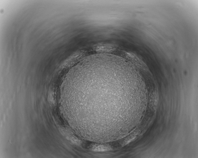 X0000087560755200705041353