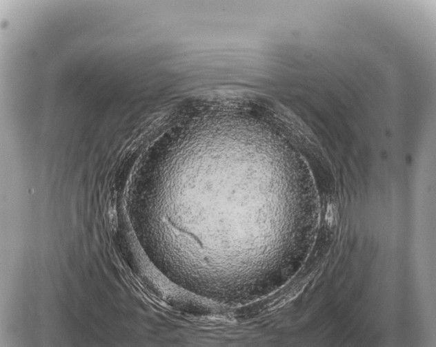 X0000087560771200705041352