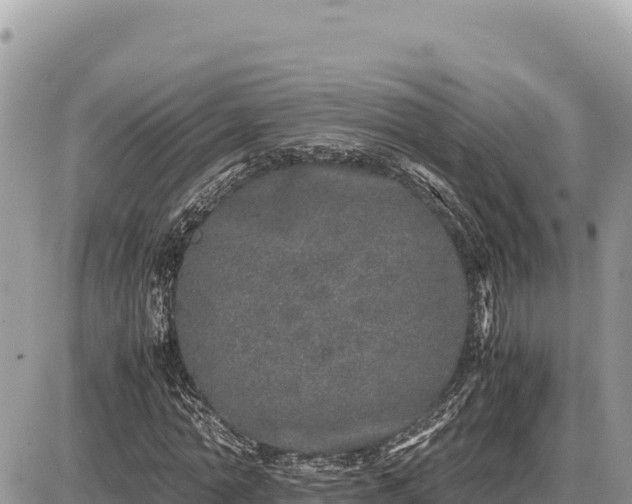 X0000087560774200705041352