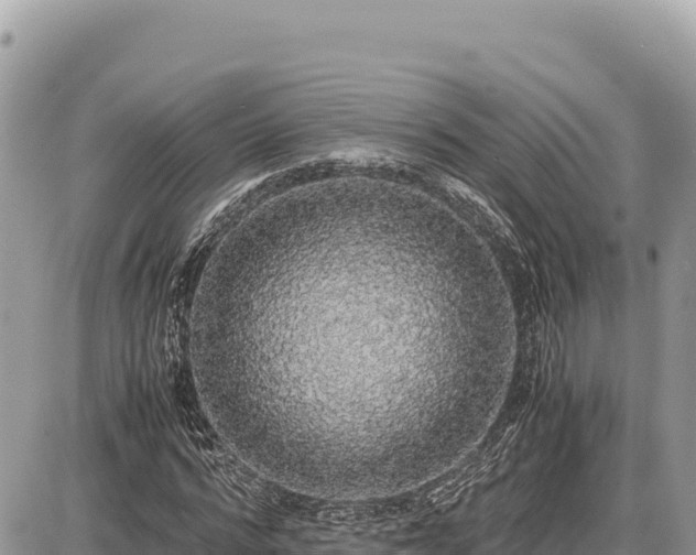 X0000087560776200705041352