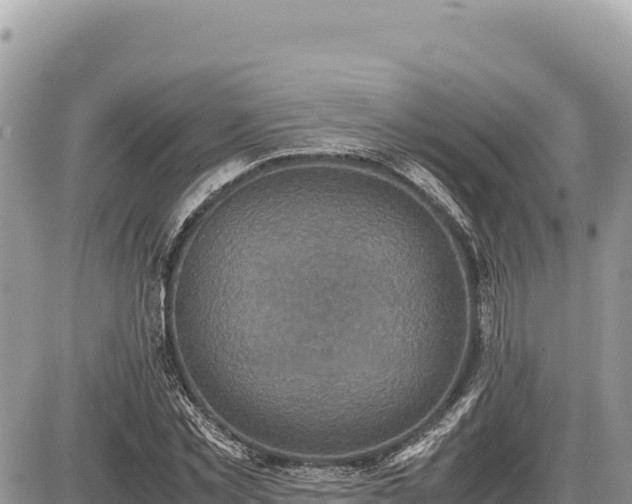 X0000087560781200705041352