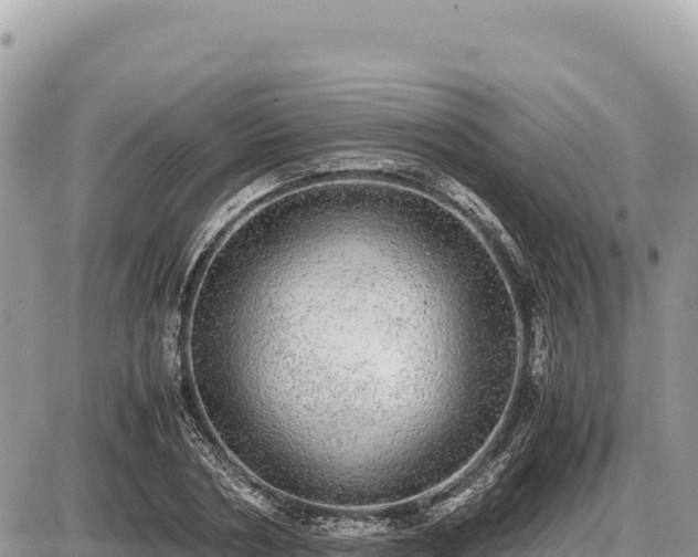 X0000087560786200705041352