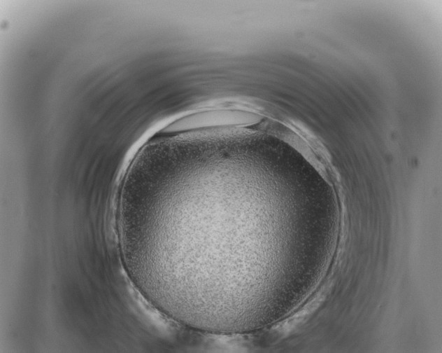X0000087560816200705041351