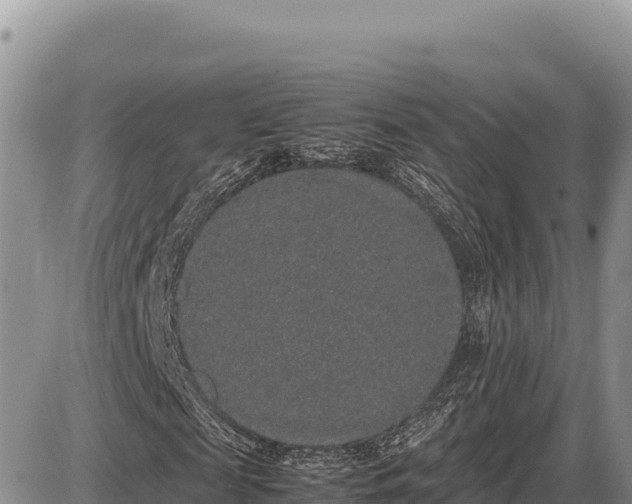 X0000087560817200705041350