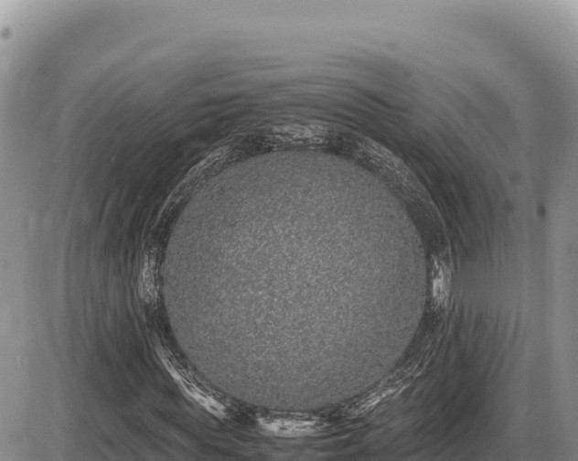 X0000087560819200705041350