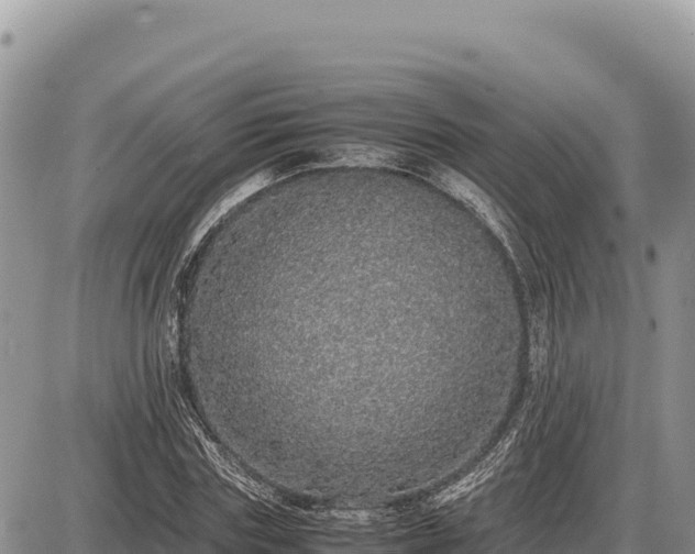 X0000087560827200705041351