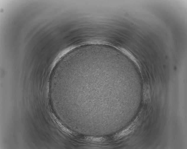 X0000087560831200705041351