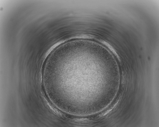 X0000087560837200705041351