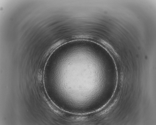 X0000087560841200705041351