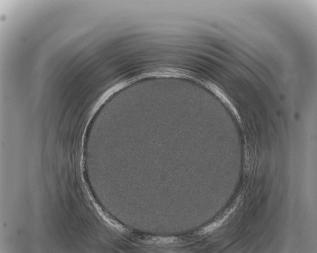 X0000087560845200705041351