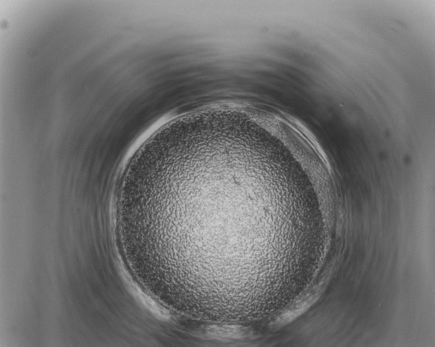 X0000087560859200705041351