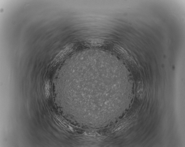 X0000087560866200705041350