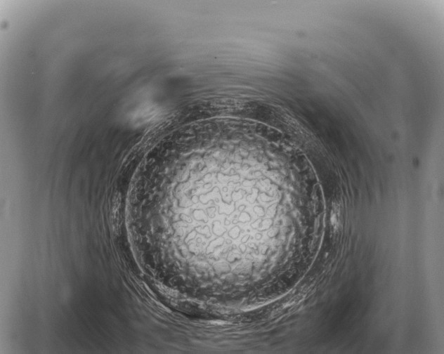 X0000087560867200705041350